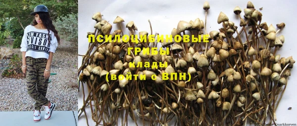 мяу мяу мука Баксан