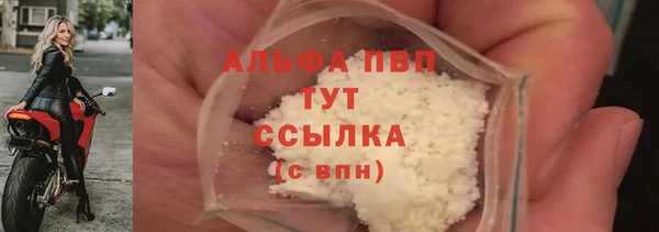 мяу мяу мука Баксан