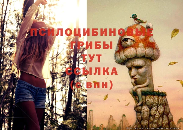 мяу мяу мука Баксан