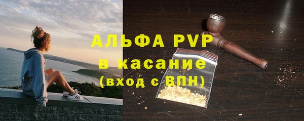 мяу мяу мука Баксан