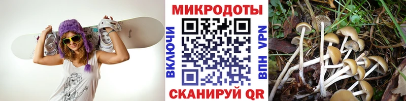Галлюциногенные грибы прущие грибы  Белёв 