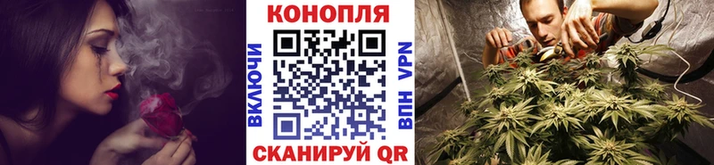 Бошки марихуана Ganja  закладки  Белёв 